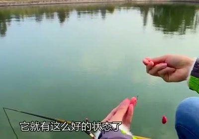 钓鱼技巧视频素材幼儿园（播放钓鱼的视频动画）