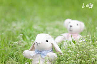 生肖兔4月生的爱情和运势（属兔四月生的命运）,生肖兔4月生的爱情和运势（属兔四月生的命运）,第1张